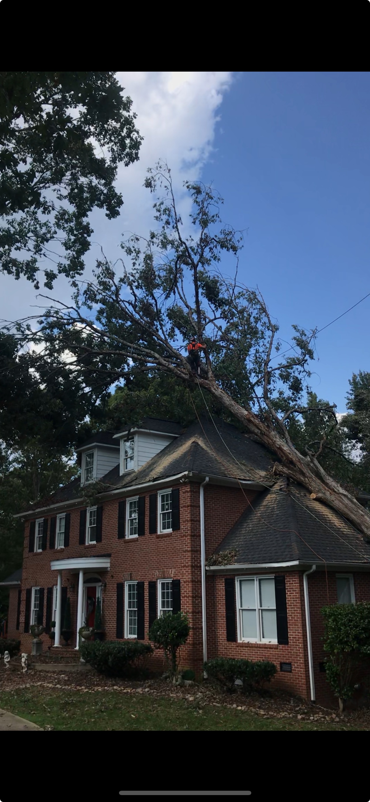 Storm damage tree leaning on brick colonial home, Greenville area